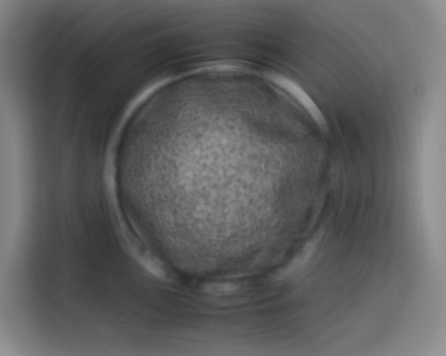 X0000113541051200910021345