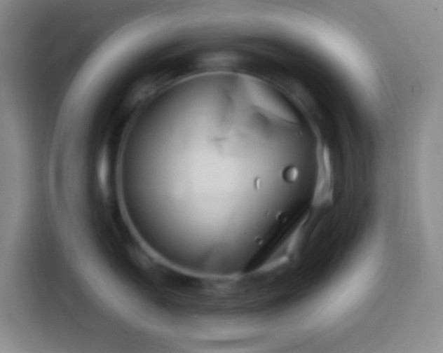 X0000113541054200910021346