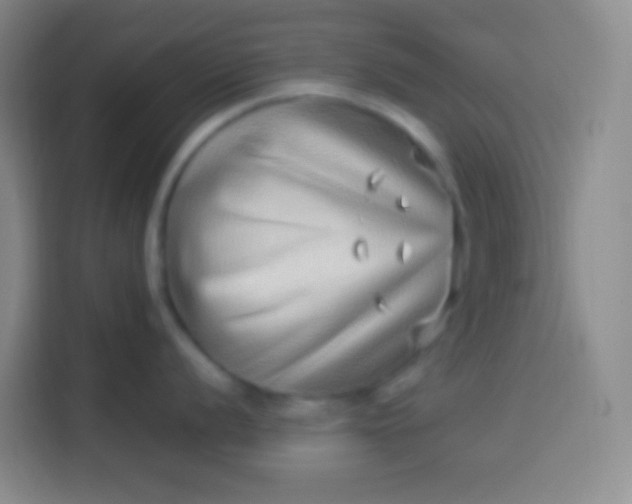 X0000113541056200910021346