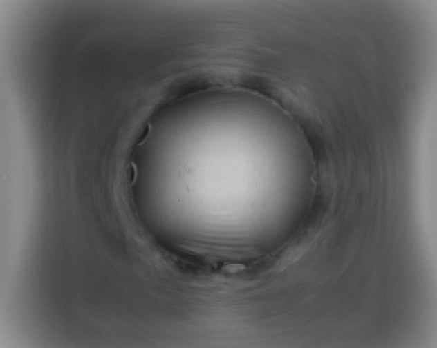 X0000113541057200910021345