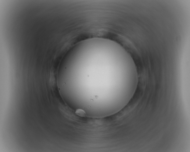 X0000113541058200910021345