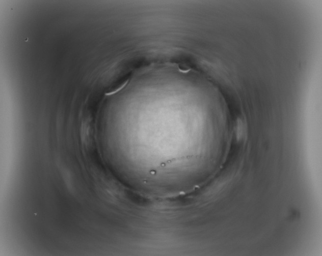 X0000113541059200910021345