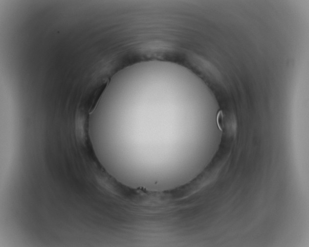 X0000113541060200910021345