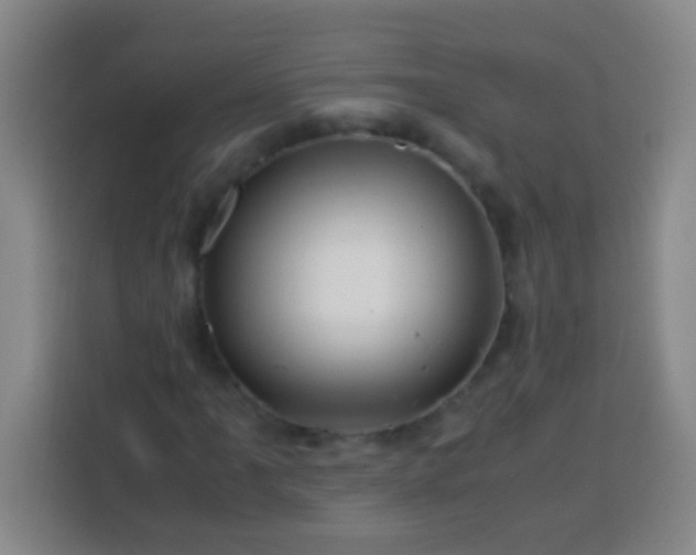 X0000113541061200910021345