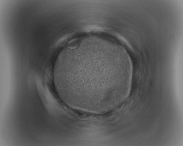 X0000113541063200910021345