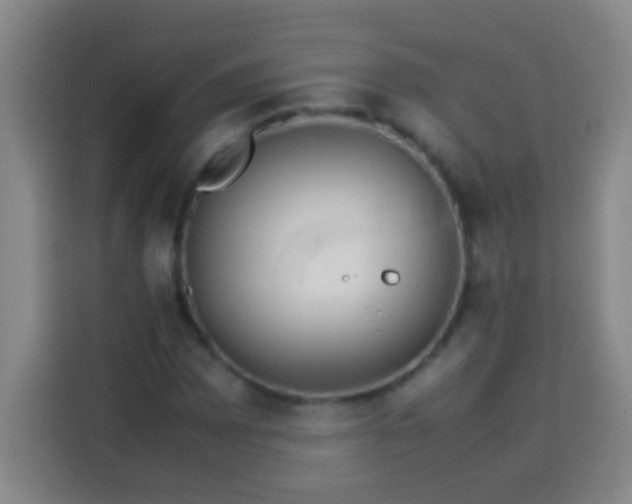 X0000113541065200910021345