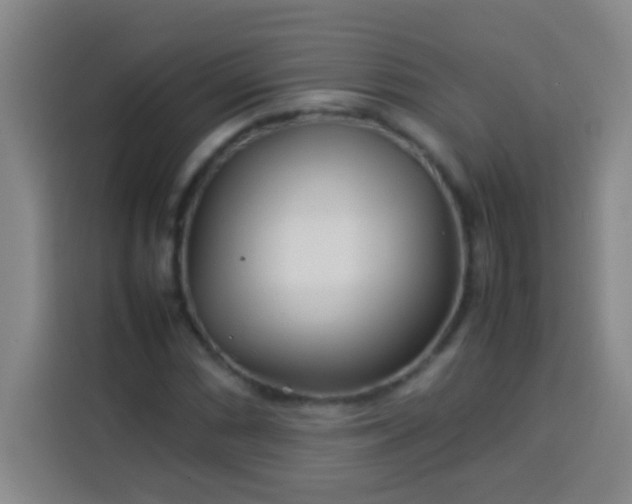 X0000113541066200910021345