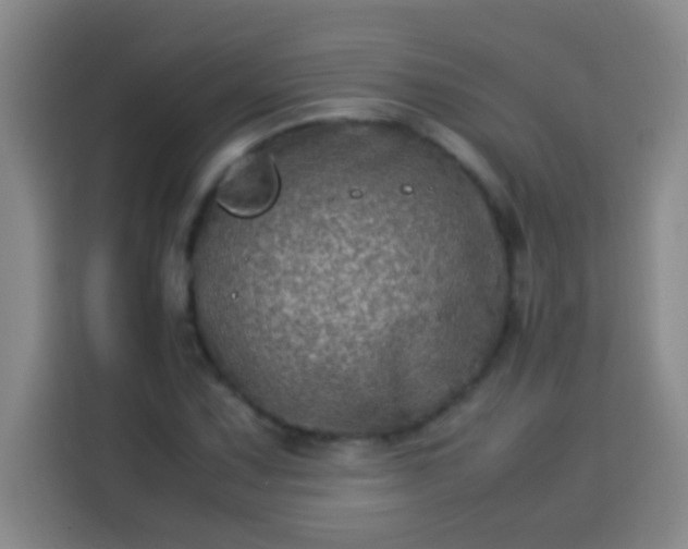 X0000113541067200910021345