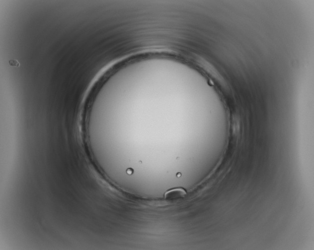 X0000113541068200910021345