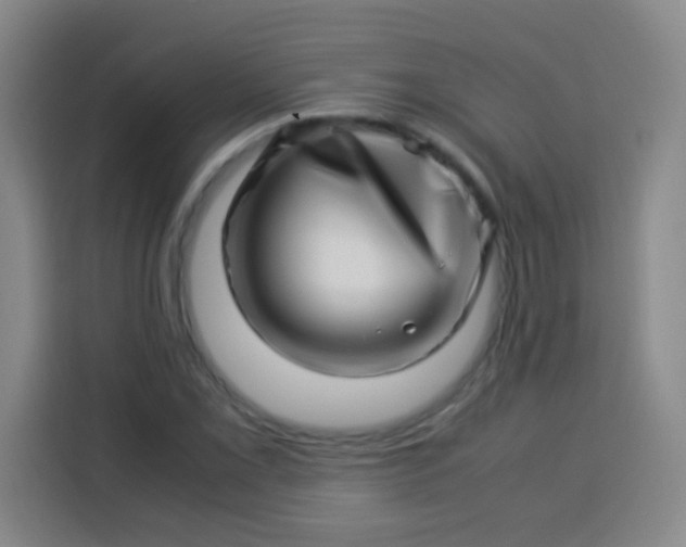 X0000113541069200910021345