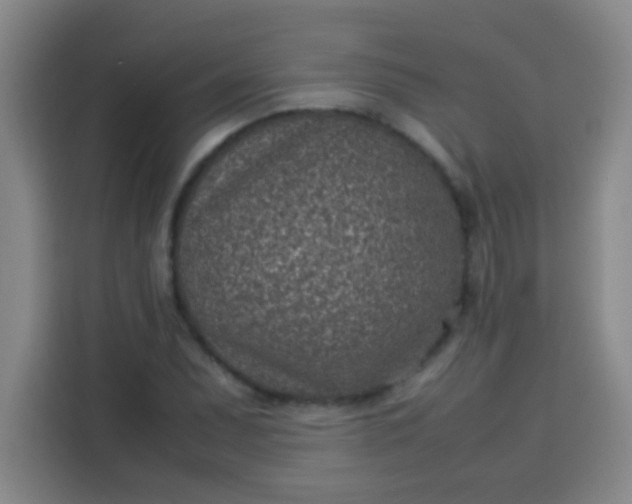 X0000113541071200910021345