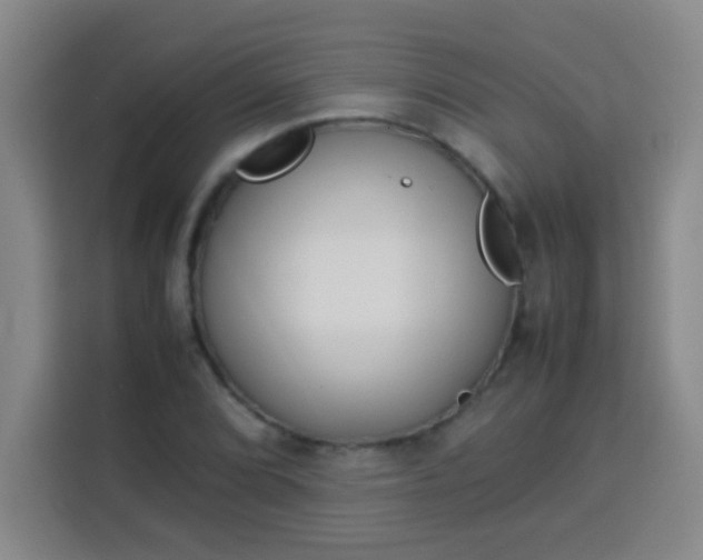 X0000113541072200910021345