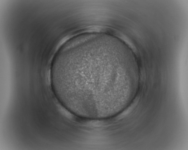 X0000113541075200910021345