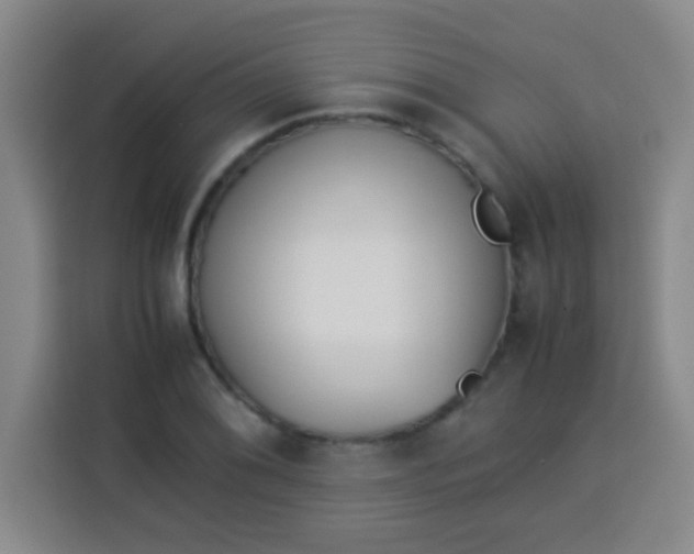 X0000113541076200910021345