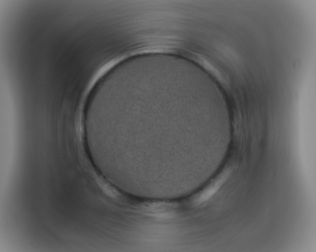 X0000113541077200910021345