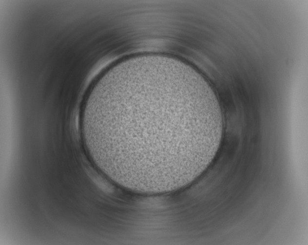 X0000113541078200910021345