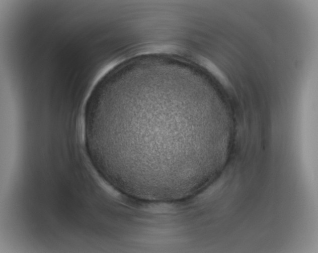 X0000113541079200910021345