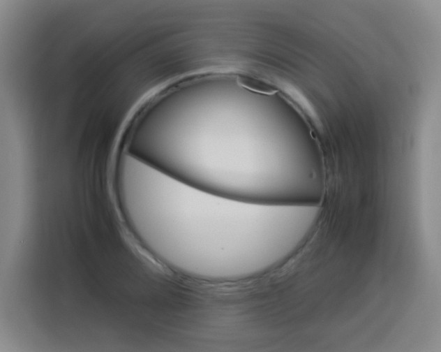 X0000113541080200910021345