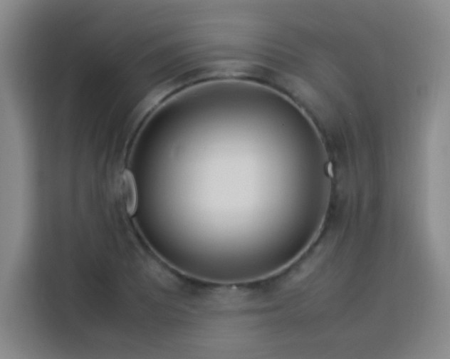 X0000113541081200910021345