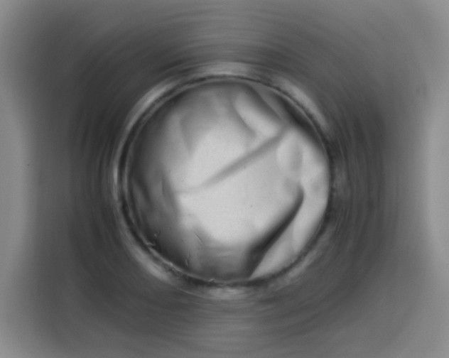 X0000113541082200910021345