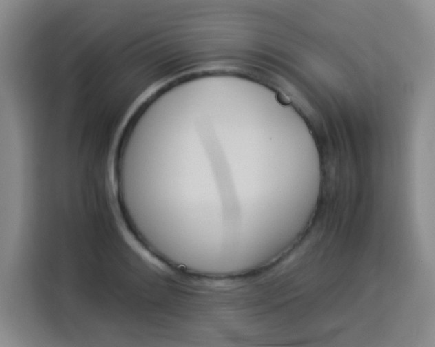 X0000113541084200910021345