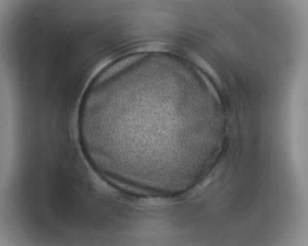 X0000113541087200910021345