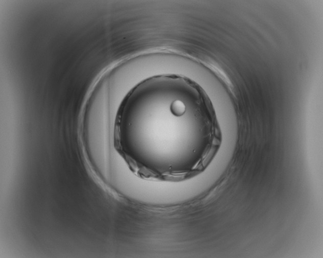 X0000113541088200910021345