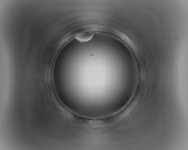 X0000113541089200910021345