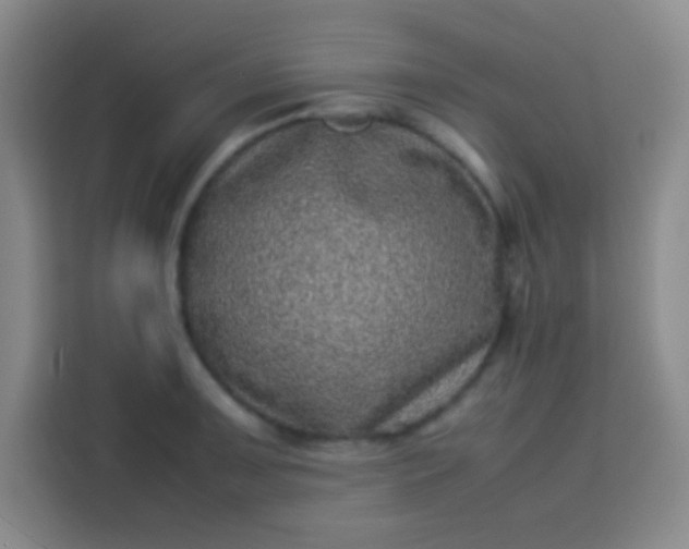 X0000113541091200910021344