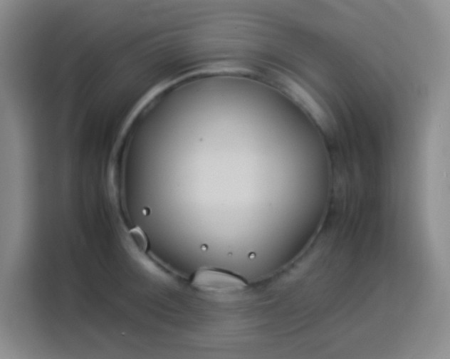 X0000113541092200910021344