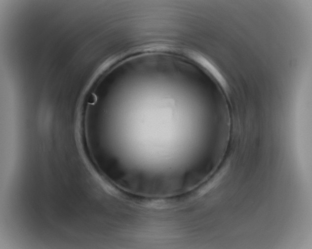 X0000113541093200910021344