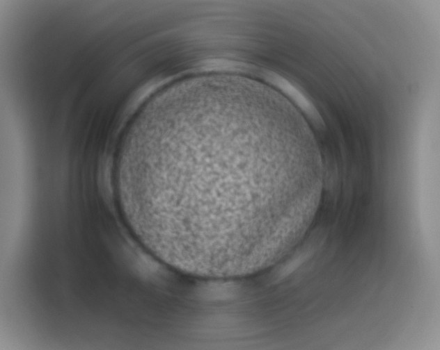 X0000113541094200910021344