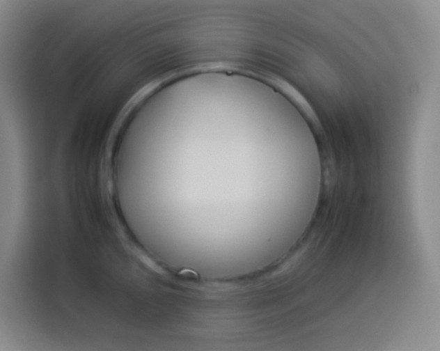 X0000113541096200910021344