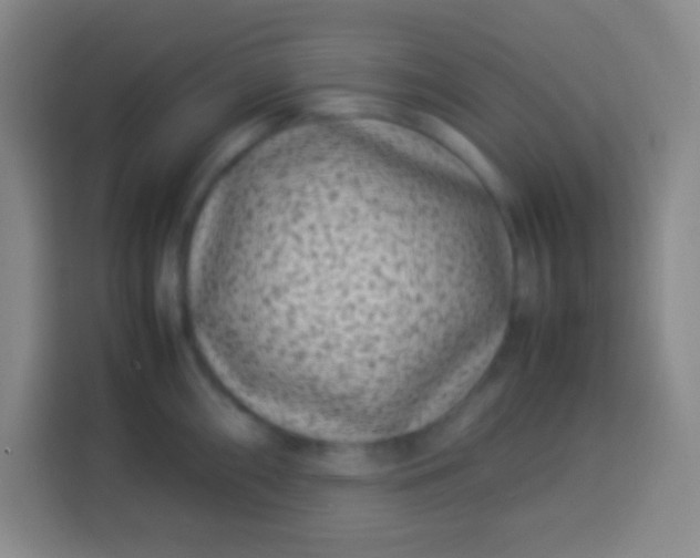 X0000113541098200910021344