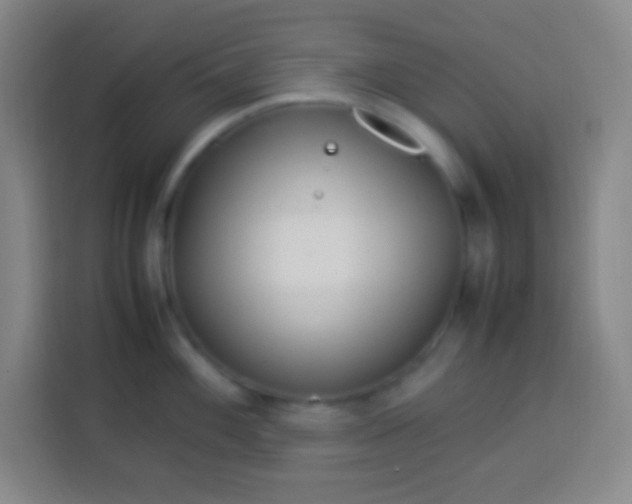 X0000113541100200910021344