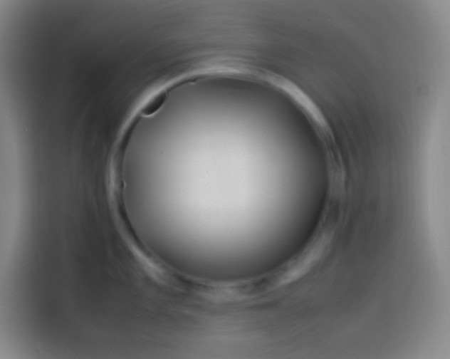 X0000113541101200910021344