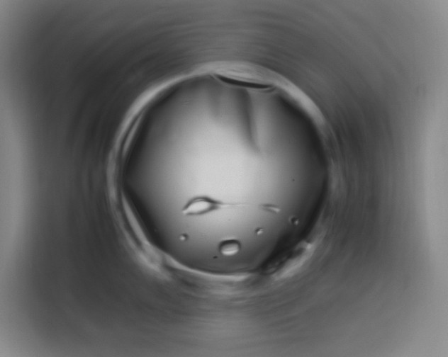 X0000113541102200910021344