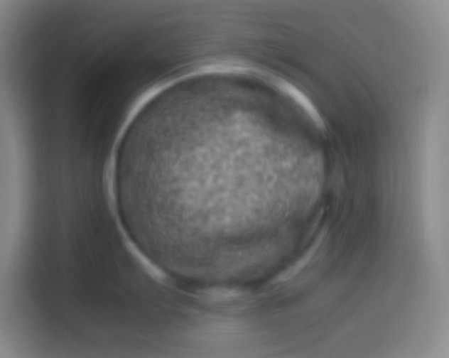 X0000113541103200910021344