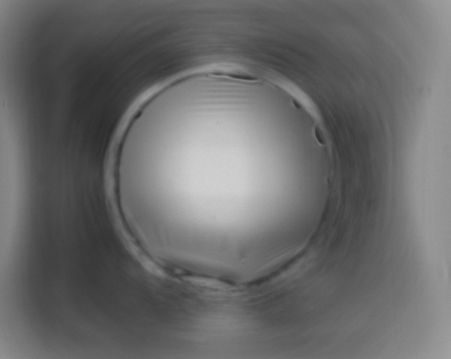 X0000113541104200910021344