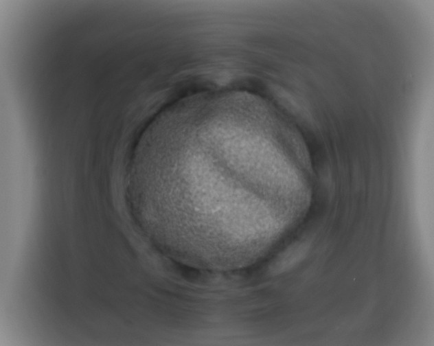 X0000113541105200910021344