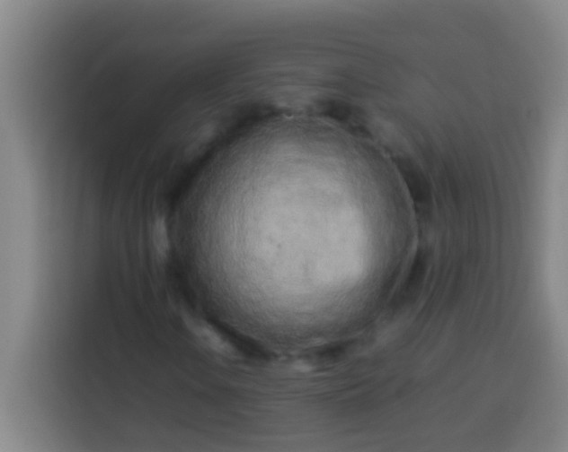 X0000113541106200910021344