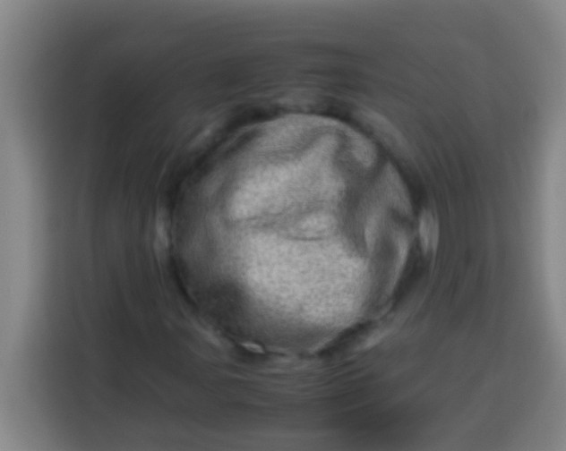 X0000113541107200910021344