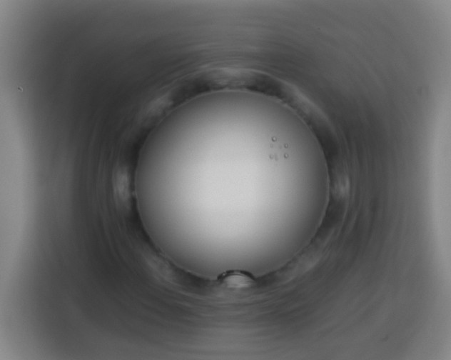 X0000113541108200910021344