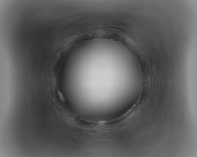 X0000113541109200910021344