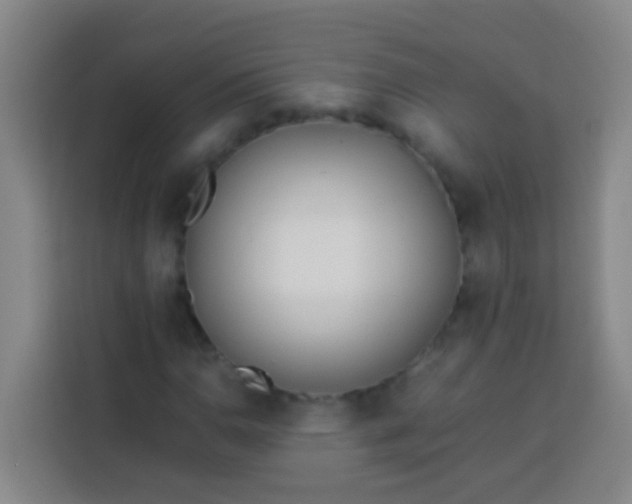 X0000113541110200910021344