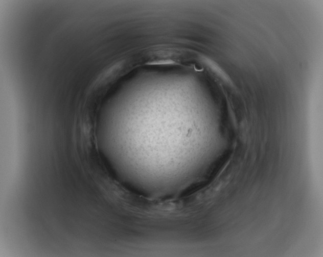 X0000113541111200910021344