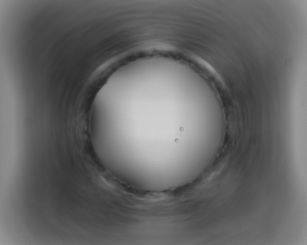 X0000113541112200910021344