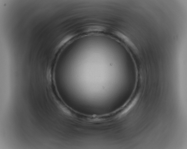 X0000113541113200910021344