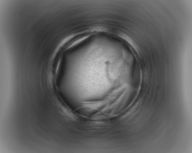 X0000113541115200910021344