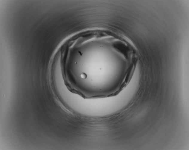 X0000113541116200910021344